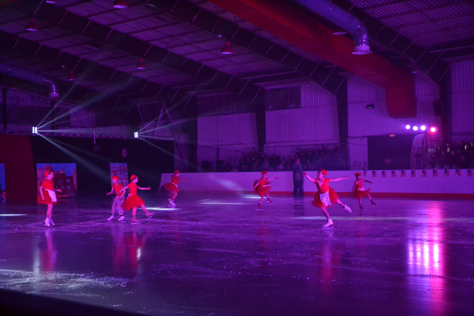 spectacle hockey sur glace